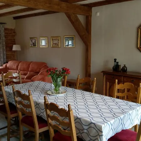 Przystanek Bajka W Puszczy Zielonce * Dabrowka Koscielna