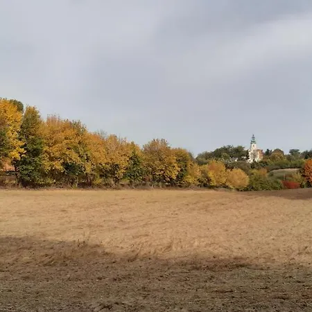 Przystanek Bajka W Puszczy Zielonce *