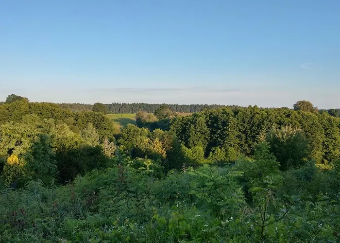 Casa vacanze Przystanek Bajka W Puszczy Zielonce