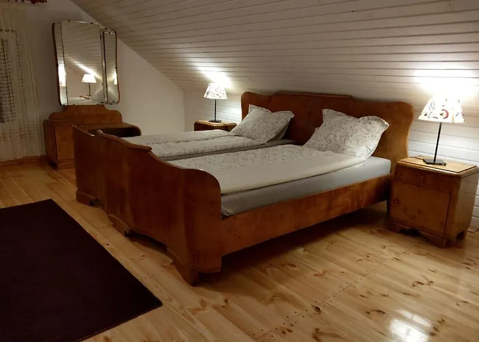 Przystanek Bajka W Puszczy Zielonce