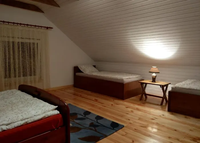 Przystanek Bajka W Puszczy Zielonce Dabrowka Koscielna