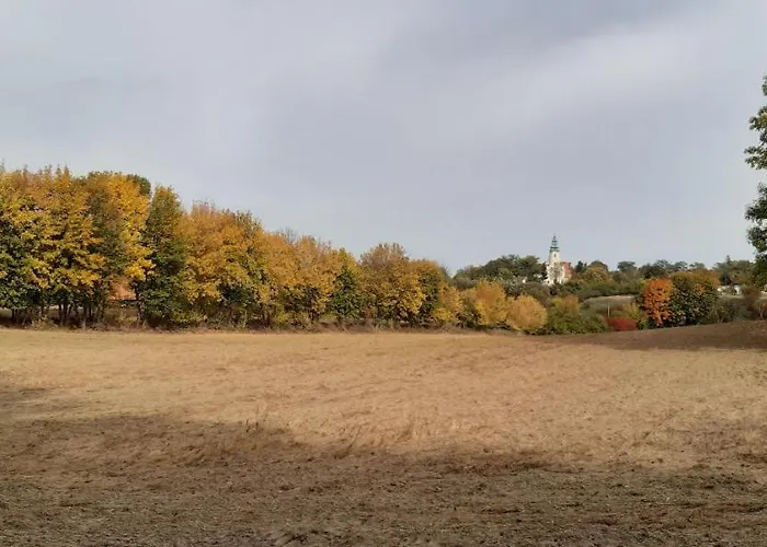 Przystanek Bajka W Puszczy Zielonce *